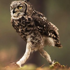 Meet your Posher, Max